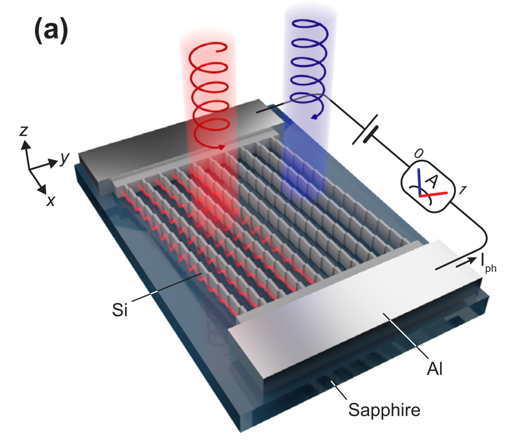 Metasurface Detection Nonlocal metasurface for circularly polarized light detection – Van de ...